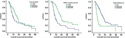 The Prognostic Value of NANO Scale Assessment in IDH-Wild-Type Glioblastoma Patients